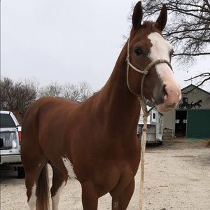 Meet your Posher, Katelyn